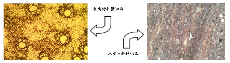 1677563978852688.jpg 默認(rèn)標(biāo)題__2023-02-27+15_44_48_副本_副本.jpg